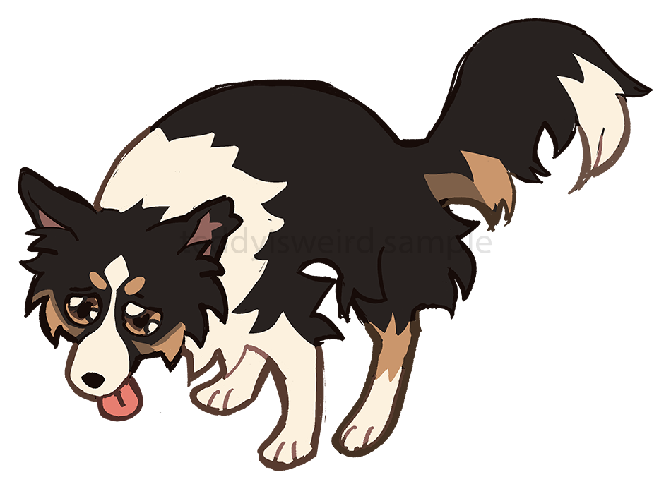 Collie Poop