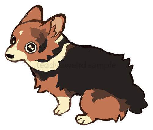 Corgi Poop