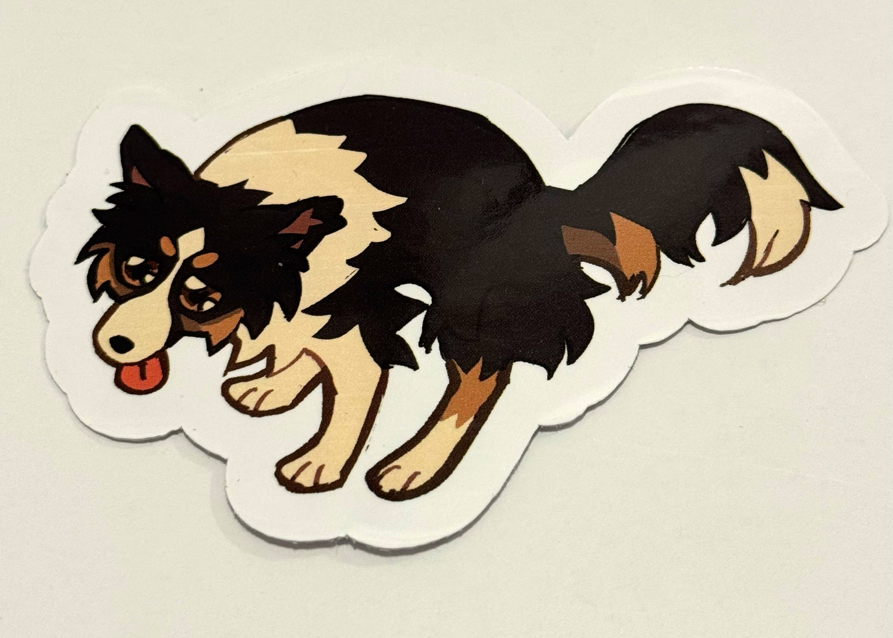 Collie Poop